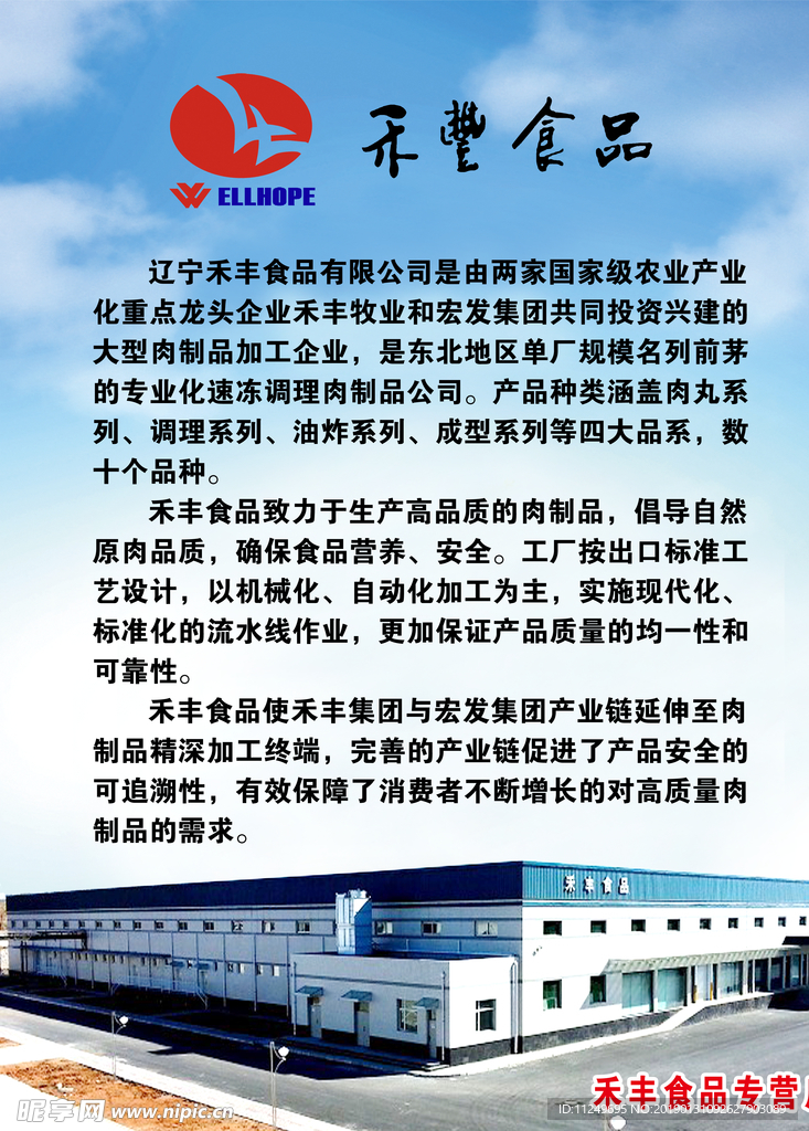 禾豐食品設(shè)計(jì)圖 自然之味與視覺(jué)創(chuàng)意的完美融合